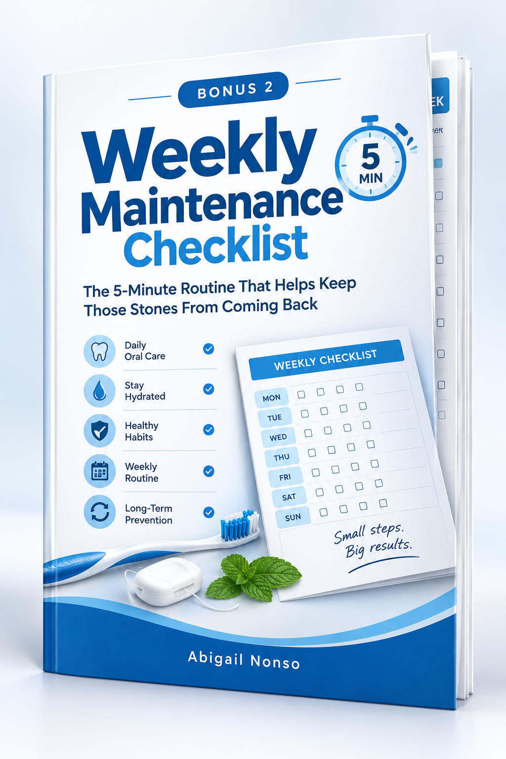 Weekly Maintenance Checklist bonus mockup